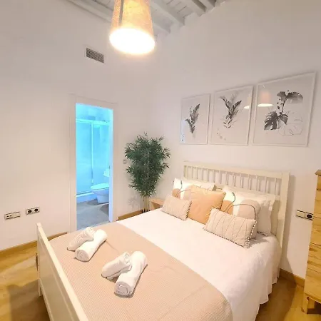 Centrico En Apartment Malaga